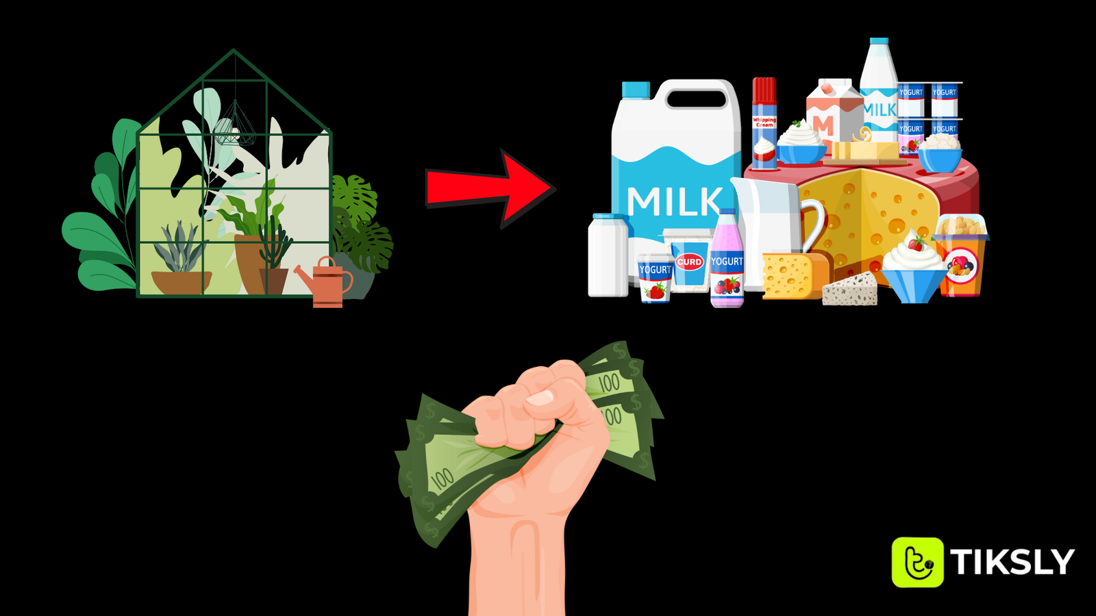 Top 10 Food Products Made in Greenhouses – High-Yield & Profitable Crops