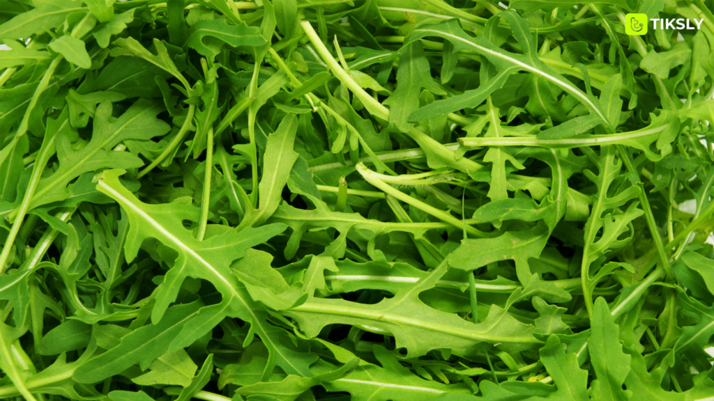 argula greenhouse product