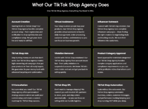TikTok Shop Agency