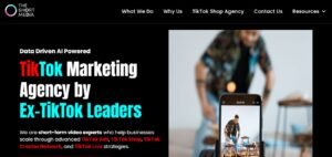 The short media TikTok Marketing Agency TikTok Ad Agency