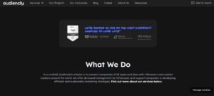 Audiencly-influencer-agency