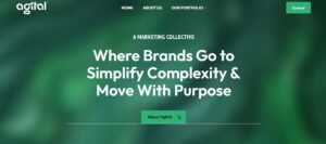 Agital-influencer-marketing-agency