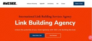 Awisee-Link-Building-Services-Agency
