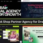 Best TikTok Shop Partner Agency for Dropshipping
