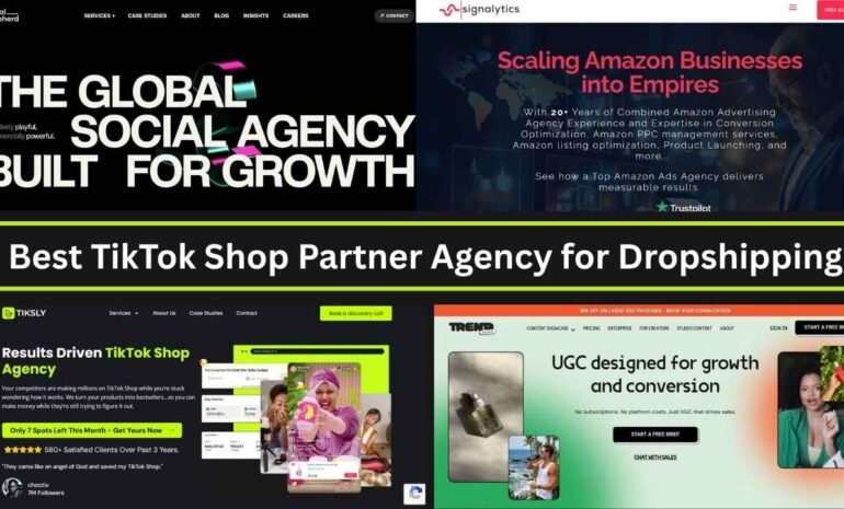 Best TikTok Shop Partner Agency for Dropshipping