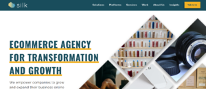 Skill-Commerce-TikTok-Shop-Agency