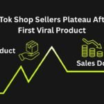 Why TikTok Shop Sellers Plateau After Their First Viral Product